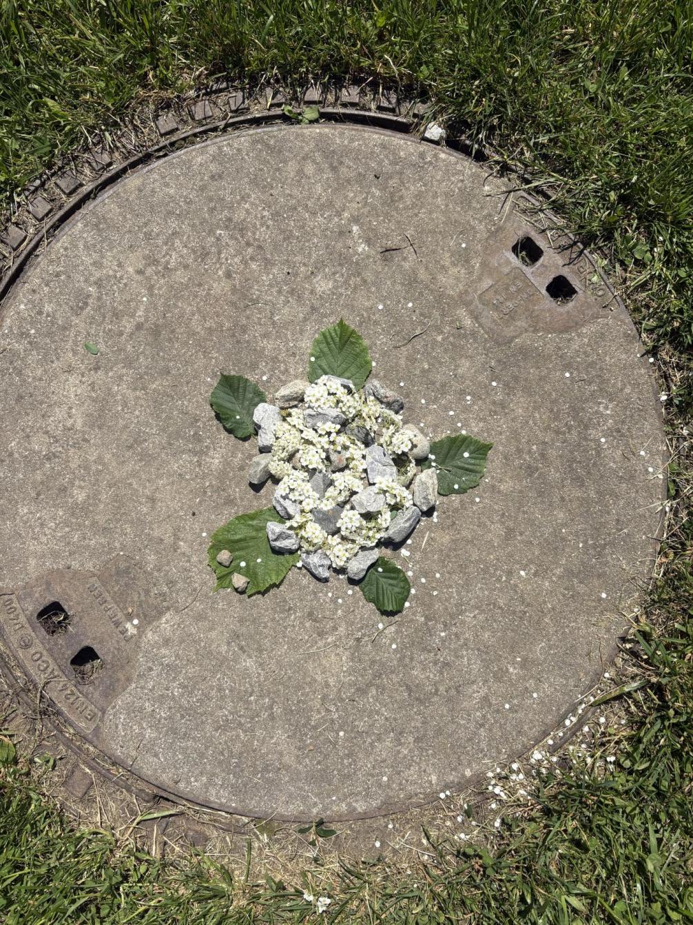 Nature Art