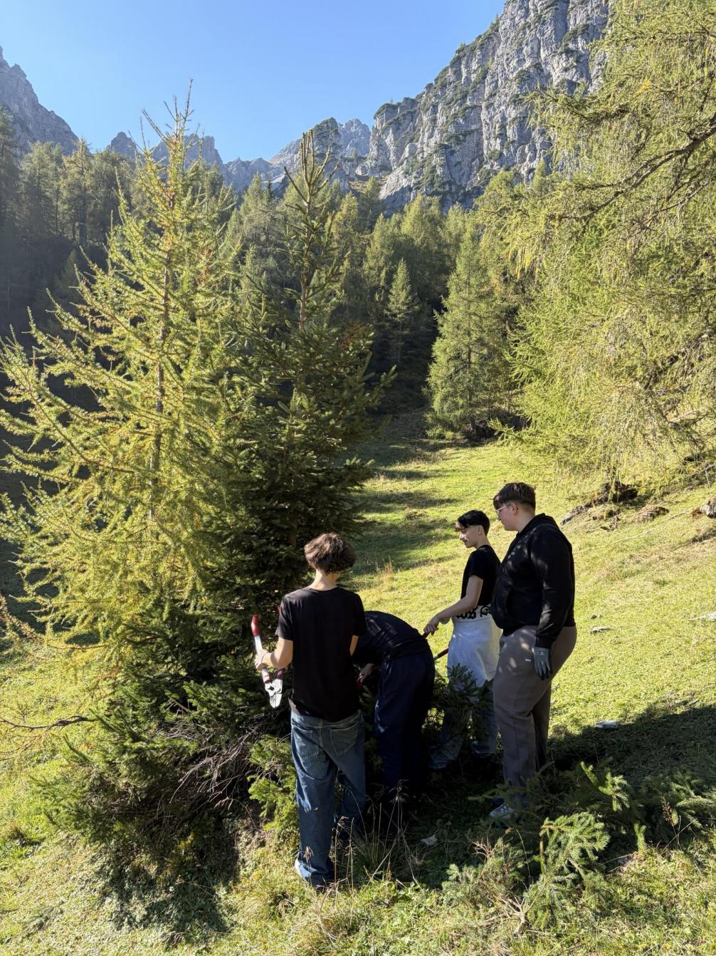Naturschutzprojekt Kalkkögel 