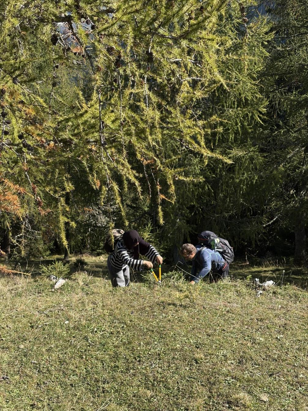Naturschutzprojekt Kalkkögel 