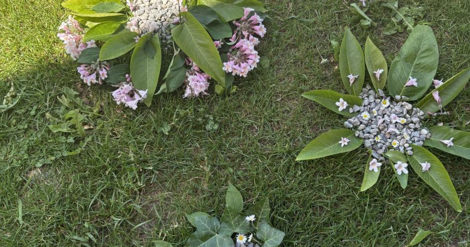 Nature Art